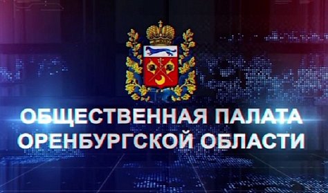 Стань членом Общественной палаты